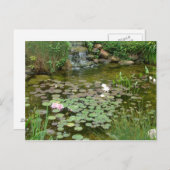 Koi Pond Postcard Postkarte (Vorne/Hinten)