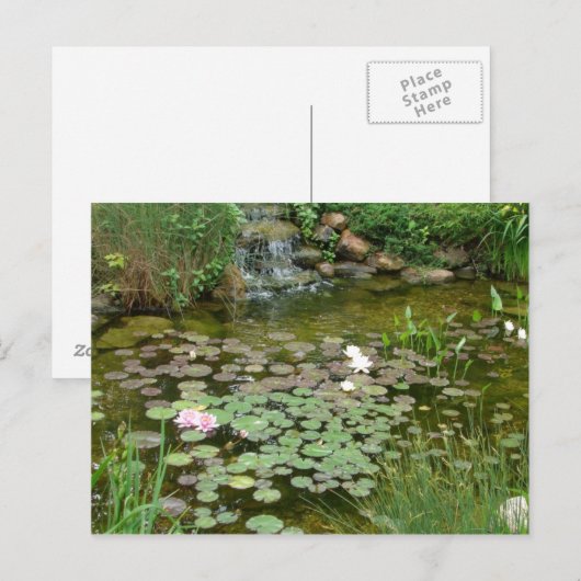 Koi Pond Postcard Postkarte (Vorne/Hinten)