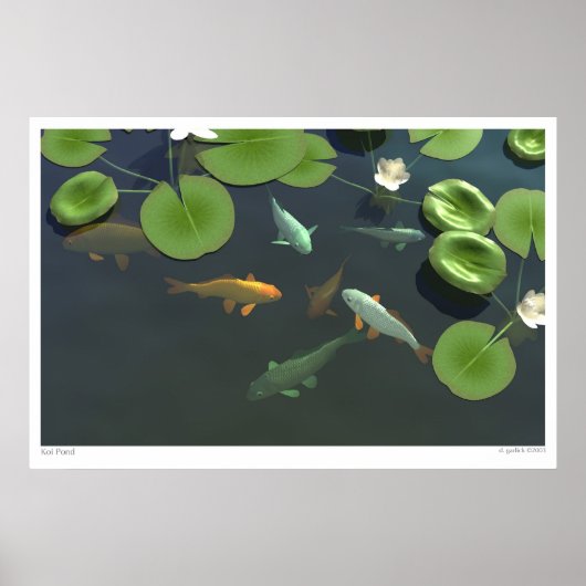 Koi Pond Poster (Vorne)