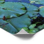 Koi Pond Poster (Ecke)