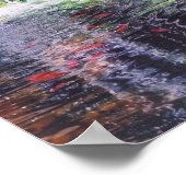 Koi Pond Poster (Ecke)