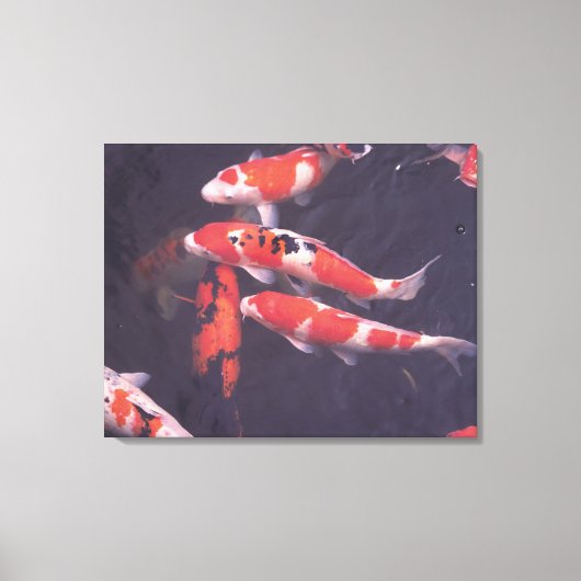 Koi Pool Leinwanddruck (Vorderseite)