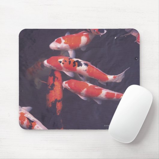 Koi Pool Mousepad (Mit Mouse)
