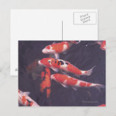 Koi Pool Postkarte (Vorne/Hinten)