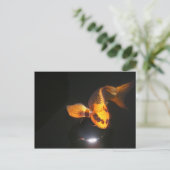 Koi-Post-Karte nicht zerkropft Postkarte (Stehend Vorderseite)