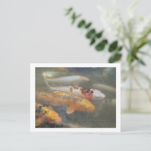 Koi Postcard Postkarte (Stehend Vorderseite)