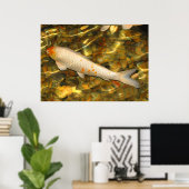 Koi Poster (Heimbüro)