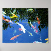 Koi Poster (Vorne)