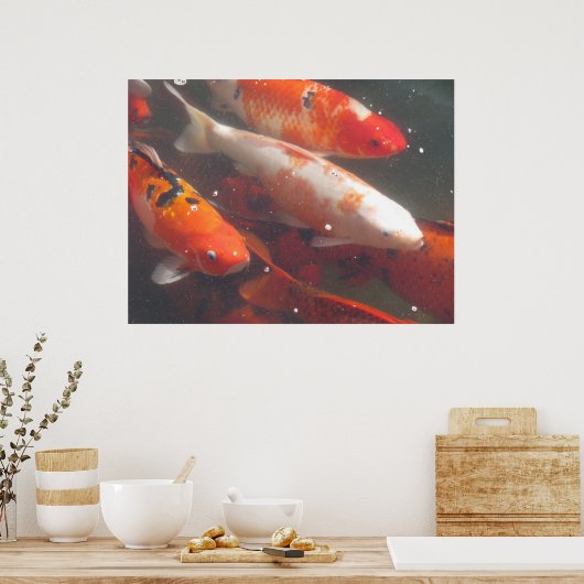 Koi Poster (Küche)
