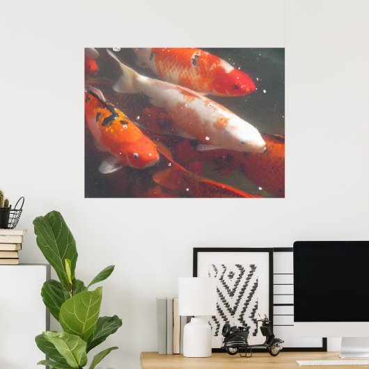 Koi Poster (Heimbüro)