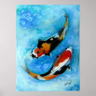 Koi Poster