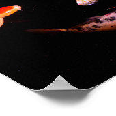 Koi Poster (Ecke)