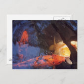 Koi Postkarte (Vorne/Hinten)
