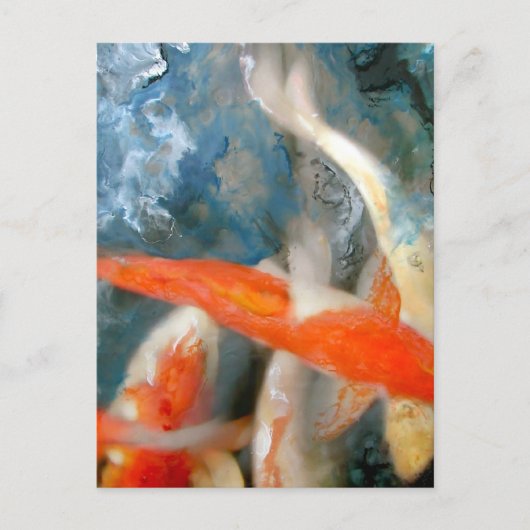 Koi Postkarte (Vorderseite)
