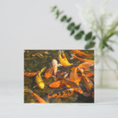 KOI POSTKARTE (Stehend Vorderseite)