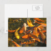 KOI POSTKARTE (Vorne/Hinten)