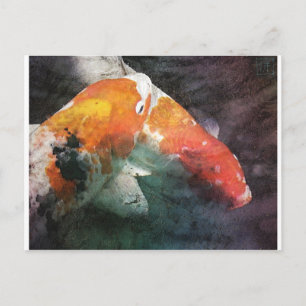Koi Postkarte