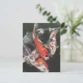 Koi Postkarte (Stehend Vorderseite)