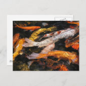 Koi Postkarte (Vorne/Hinten)