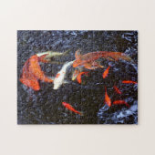 Koi Puzzle (Horizontal)