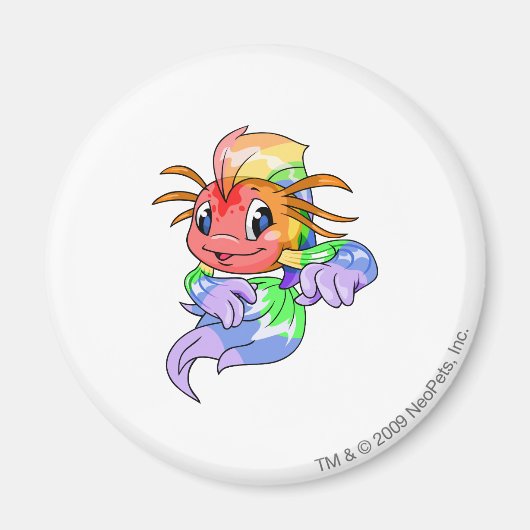 Koi Rainbow Magnet (Vorne)