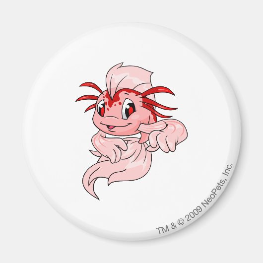 Koi Red Magnet (Vorne)