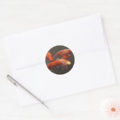 Koi Runder Aufkleber (Umschlag)