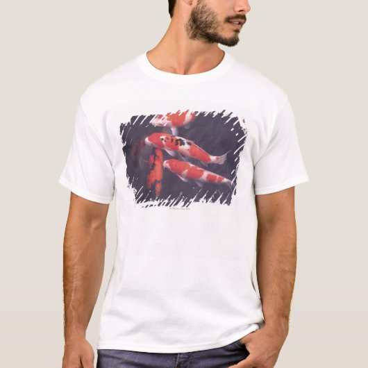 Koi Schwimmen im Pool T-Shirt (Vorderseite)