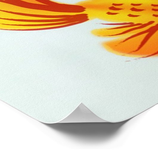 Koi-See Poster (Ecke)