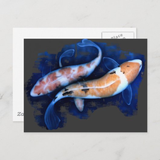 Koi Tango Postkarte (Vorne/Hinten)