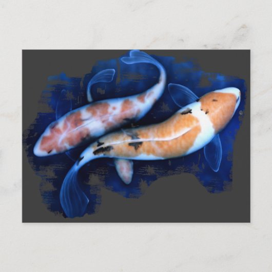 Koi Tango Postkarte (Vorderseite)