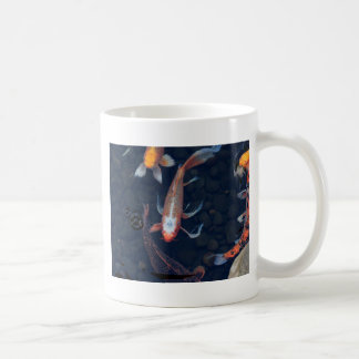 Koi Tasse