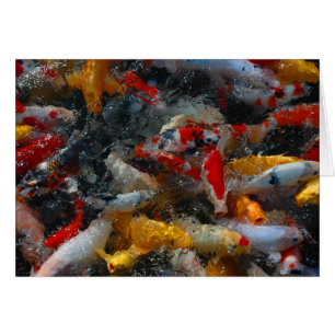 Koi Teich