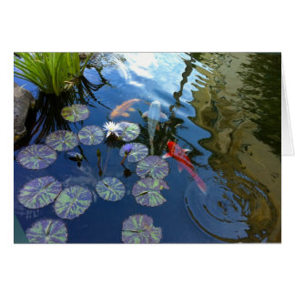 Koi Teich