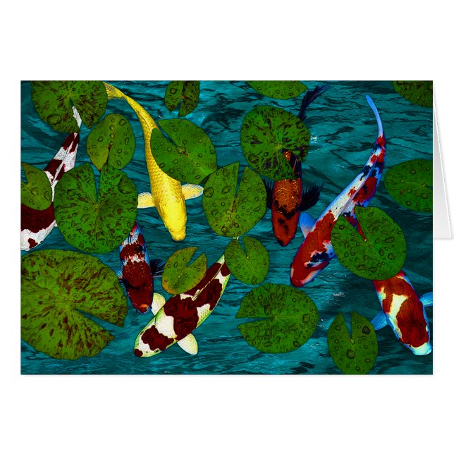 KOI TEICH (Vorderseite (Horizontal))