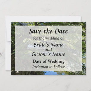 Koi-Teich im chinesischen Garten - Save the Date