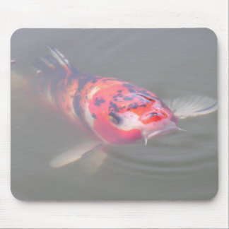 Koi Teich Mousepad