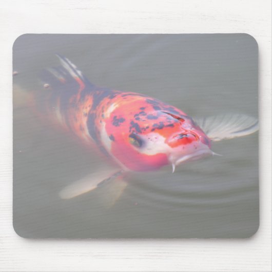 Koi Teich Mousepad (Vorne)