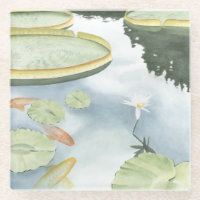 Koi-Teich-Reflektion mit Fisch und Lilien