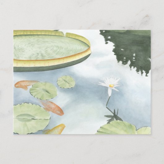 Koi-Teich-Reflektion mit Fisch und Lilien Postkarte (Vorderseite)