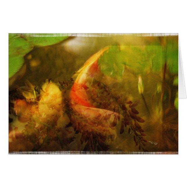 Koi Teichcollage - Karte (Vorderseite (Horizontal))
