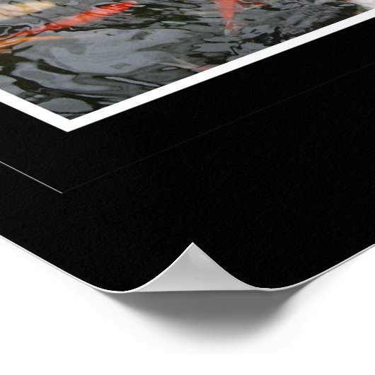 Koi Triptych Poster (Ecke)