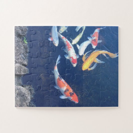 Koi unter Glas Puzzle (Horizontal)