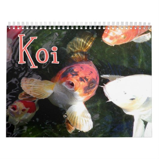 Koi Wandkalender (Titelbild)