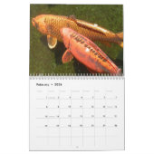 Koi Wandkalender (Feb 2026)