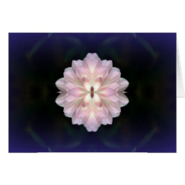 Koinonia "Fellowship on the Path"