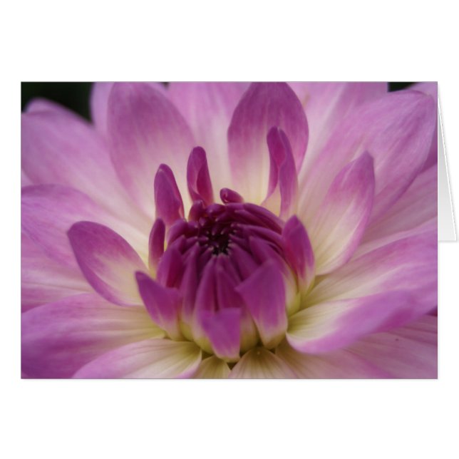 Koinonia "Fellowship on the Path" (Vorderseite (Horizontal))