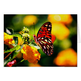 Koinonia "Stipendium auf dem Weg "