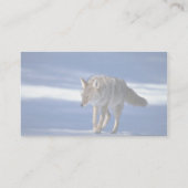 Kojote auf Schnee Visitenkarte (Rückseite)