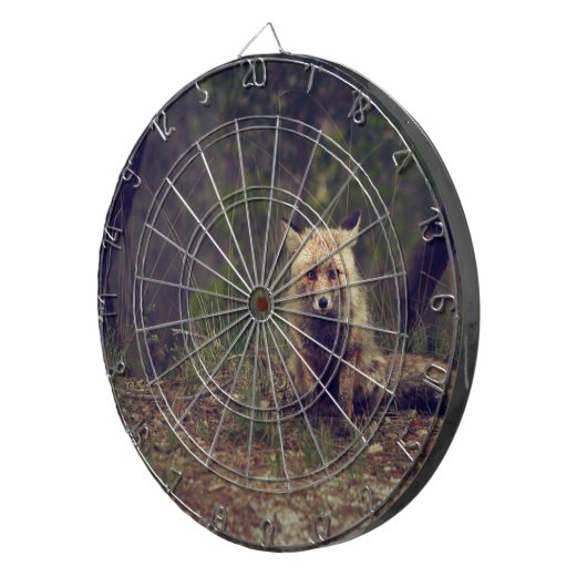 Kojote Dartscheibe (Vorderseite rechts)